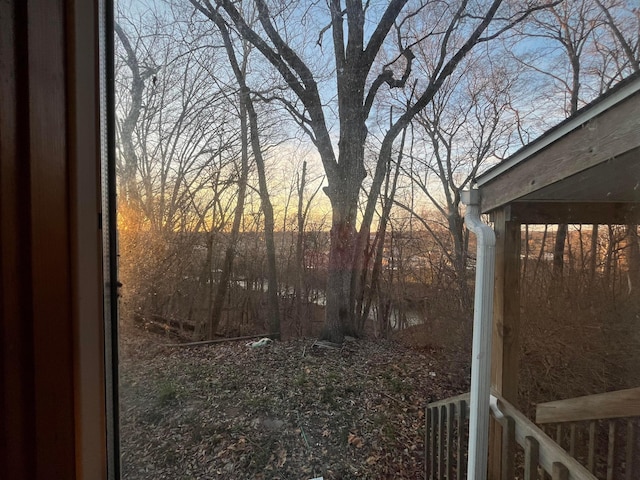 view of yard at dusk