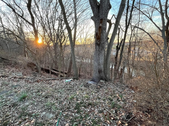 view of local wilderness