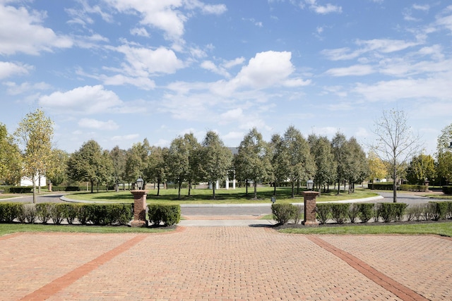 view of community featuring a yard