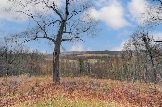 view of landscape