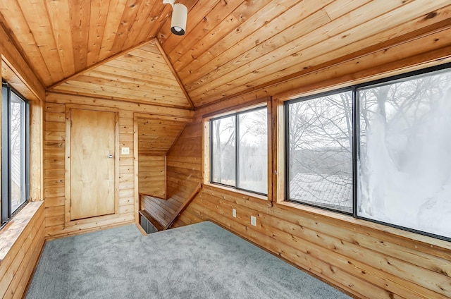 bonus room featuring wood ceiling, wood walls, a healthy amount of sunlight, and vaulted ceiling