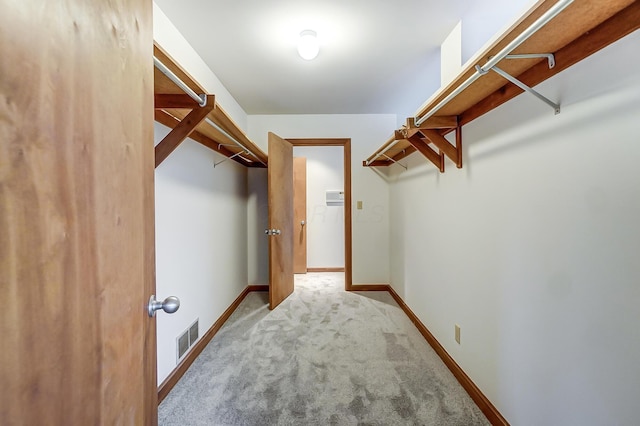 spacious closet with light carpet