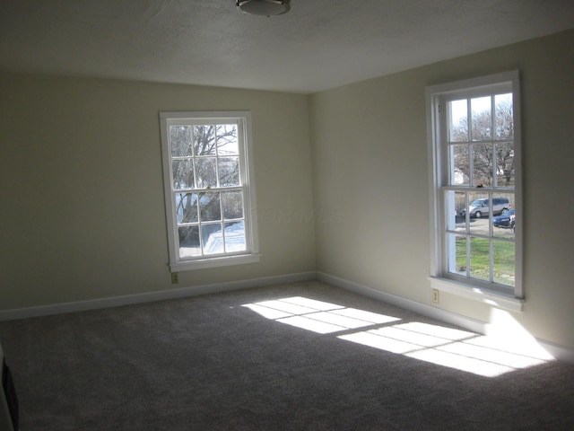 empty room featuring carpet flooring and a textured ceiling