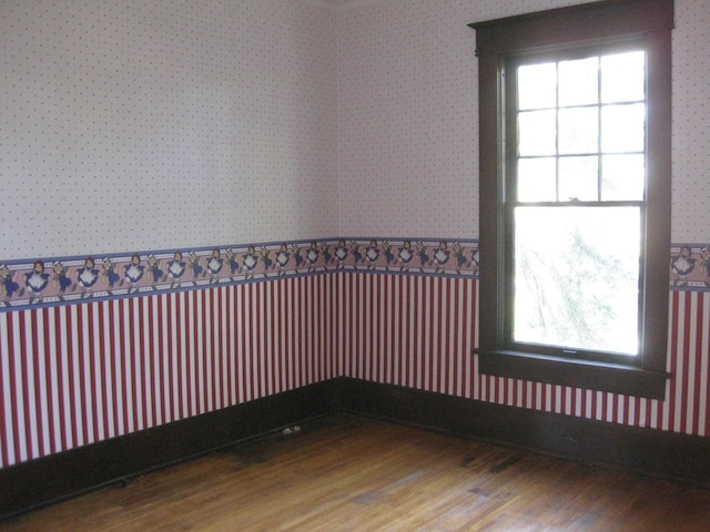 unfurnished room with wood-type flooring