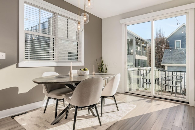 dining room featuring hardwood / wood-style flooring