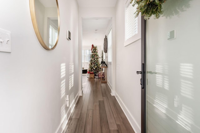 hallway featuring plenty of natural light and dark hardwood / wood-style floors