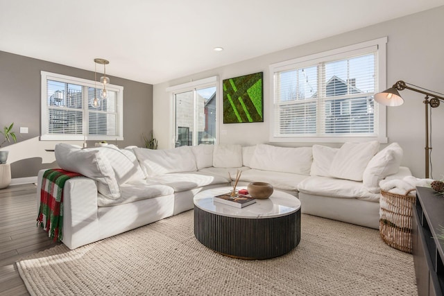 living room featuring hardwood / wood-style floors and plenty of natural light