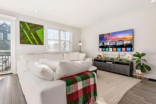 living room featuring hardwood / wood-style flooring and a wealth of natural light