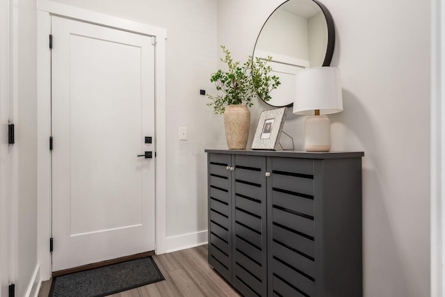 entryway with hardwood / wood-style floors