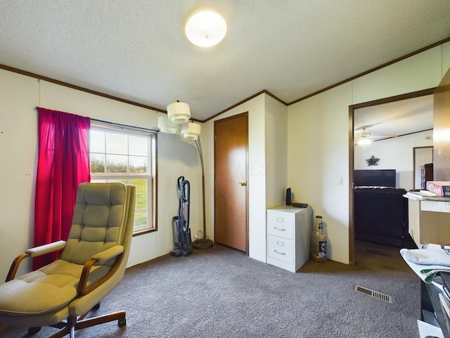 carpeted office space featuring ceiling fan, ornamental molding, and a textured ceiling