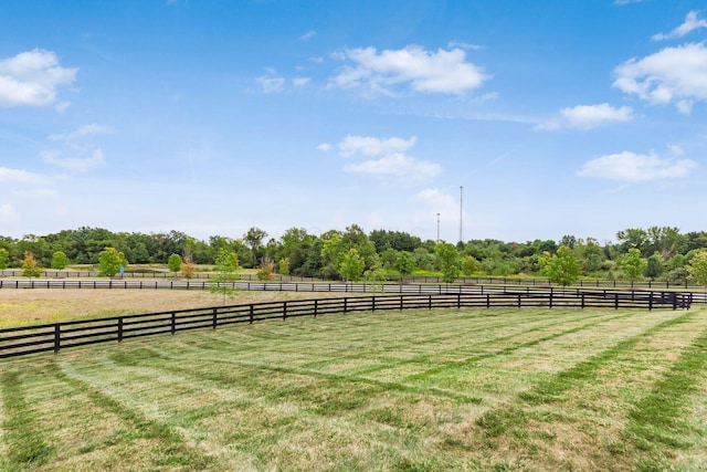 8285 Canopy Glen Dr, Plain City, OH 43064 - view of yard with a rural view
