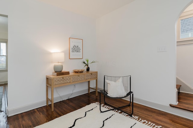 living area with dark hardwood / wood-style floors