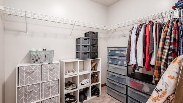 spacious closet with carpet floors