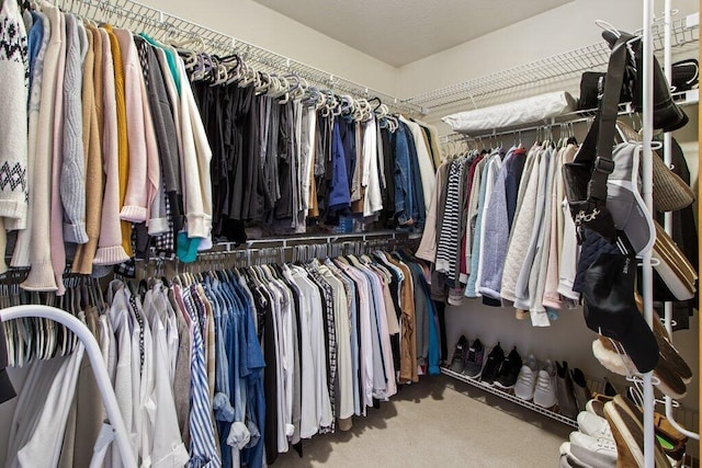 walk in closet with carpet floors