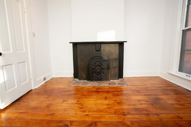 room details featuring wood-type flooring