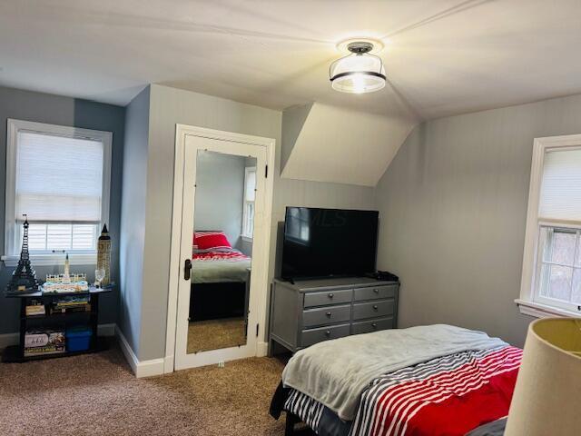 bedroom featuring carpet, vaulted ceiling, and multiple windows