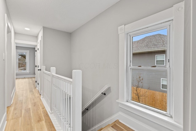 corridor featuring plenty of natural light and light hardwood / wood-style flooring