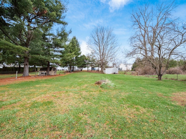 view of yard with a storage shed