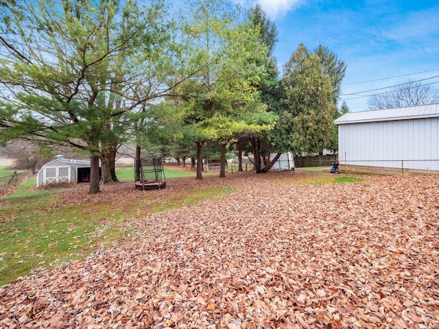 view of yard with a storage shed