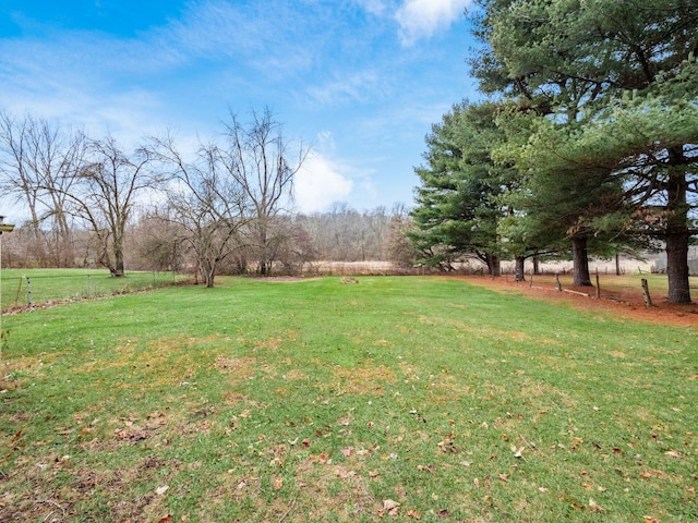 view of yard with a rural view