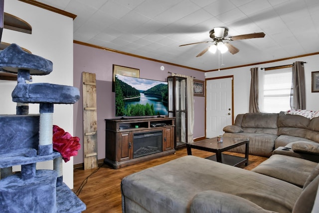 4417 Beechgrove Rd, Bucyrus, OH 44820 - living room with wood-type flooring, ceiling fan, and ornamental molding