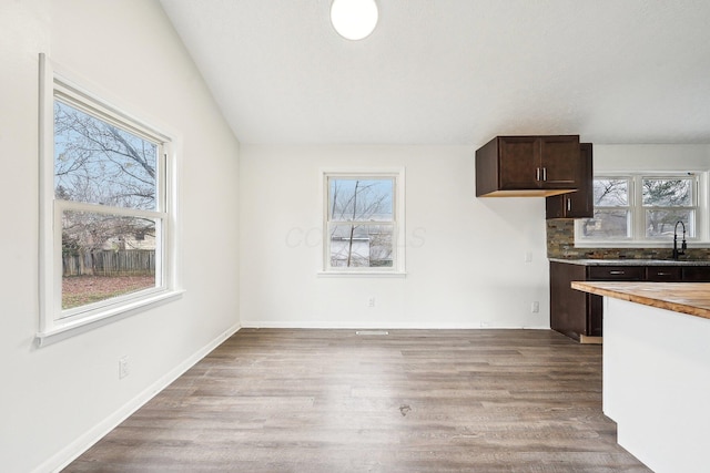 kitchen featuring hardwood / wood-style floors, dark brown cabinetry, and plenty of natural light