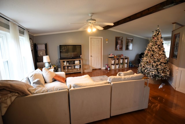 living room featuring lofted ceiling with beams, dark hardwood / wood-style floors, ceiling fan, and crown molding