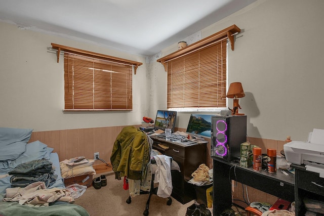 interior space with wood walls