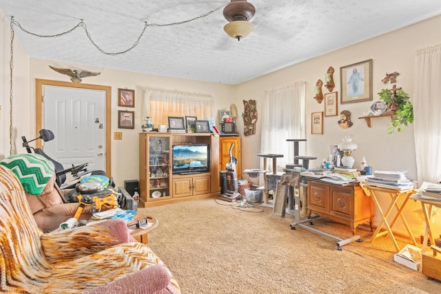 interior space with carpet floors and a textured ceiling