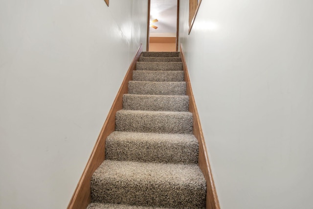 stairs featuring carpet flooring