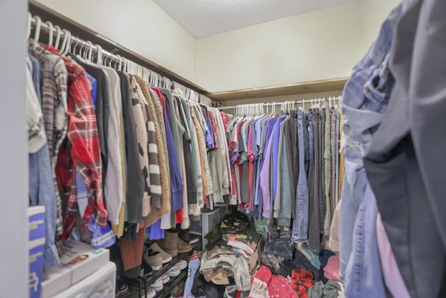 view of spacious closet