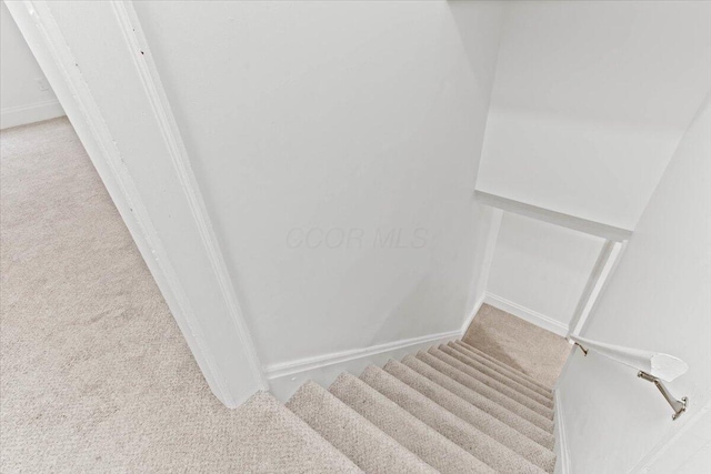 stairs featuring carpet