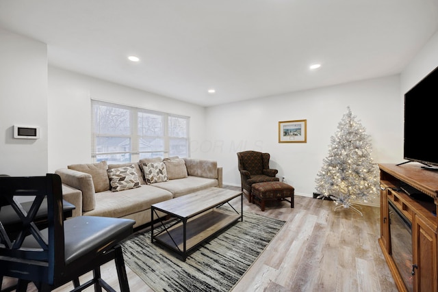 living room featuring light wood-type flooring