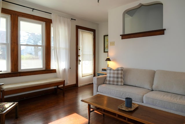 living room with dark hardwood / wood-style flooring and a wealth of natural light