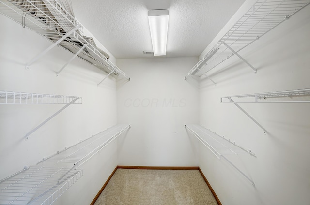 walk in closet featuring carpet flooring