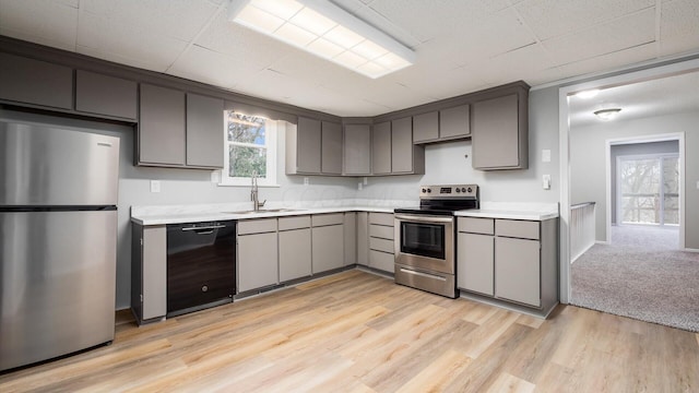 kitchen with sink, stainless steel appliances, a wealth of natural light, and light hardwood / wood-style flooring