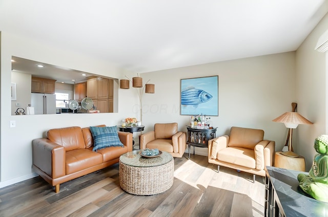 living room featuring wood-type flooring