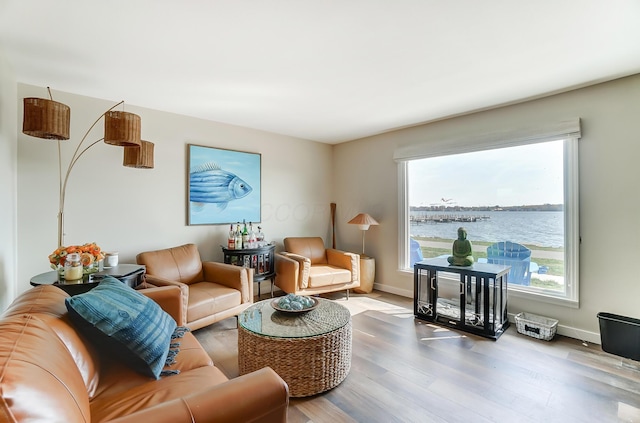 living room with hardwood / wood-style floors and a water view