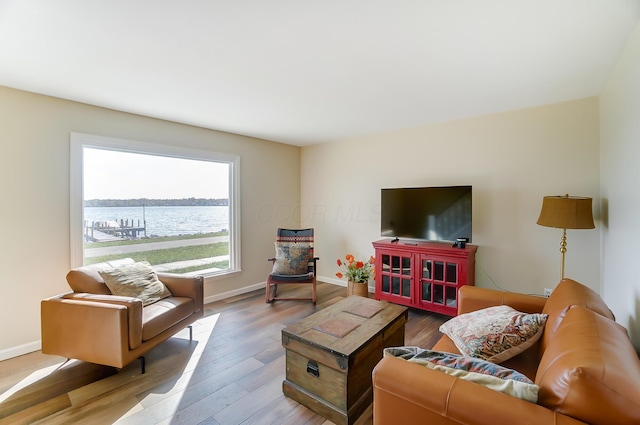 living room featuring hardwood / wood-style flooring