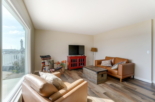 living room featuring hardwood / wood-style flooring