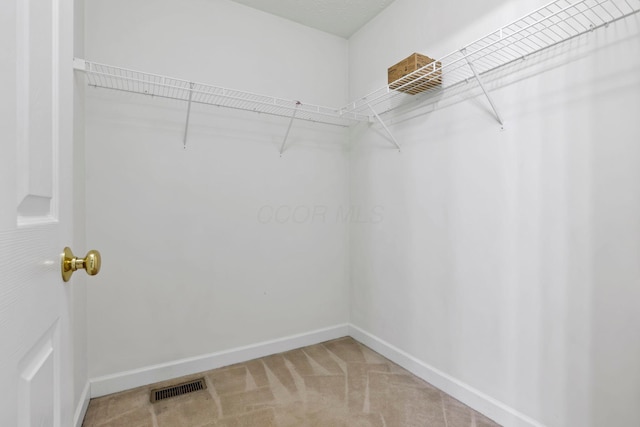 walk in closet featuring carpet flooring