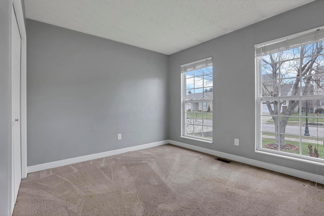 empty room featuring light colored carpet and a textured ceiling