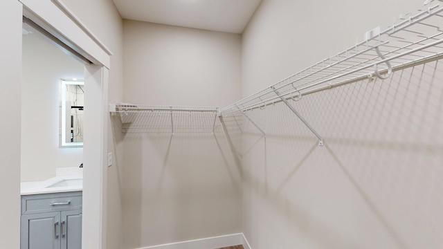 spacious closet featuring sink