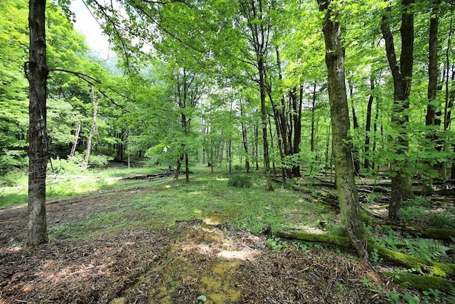 783 Crestrose Dr, Howard, OH 43028 - view of tree filled area