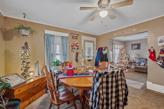 dining space with carpet flooring, ceiling fan, and ornamental molding