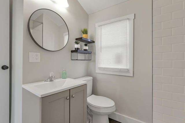 bathroom with vanity, toilet, and a wealth of natural light