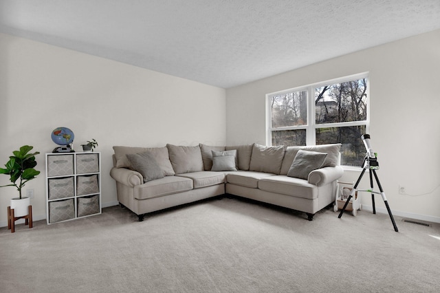 living room featuring carpet and a textured ceiling