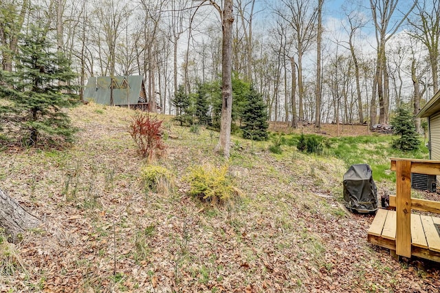 view of yard featuring a storage unit