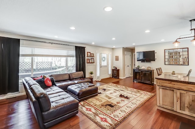 living room with dark hardwood / wood-style flooring