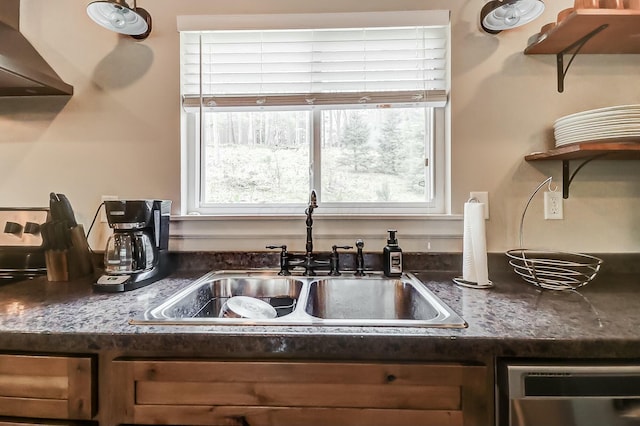 kitchen with dishwasher, range hood, and sink